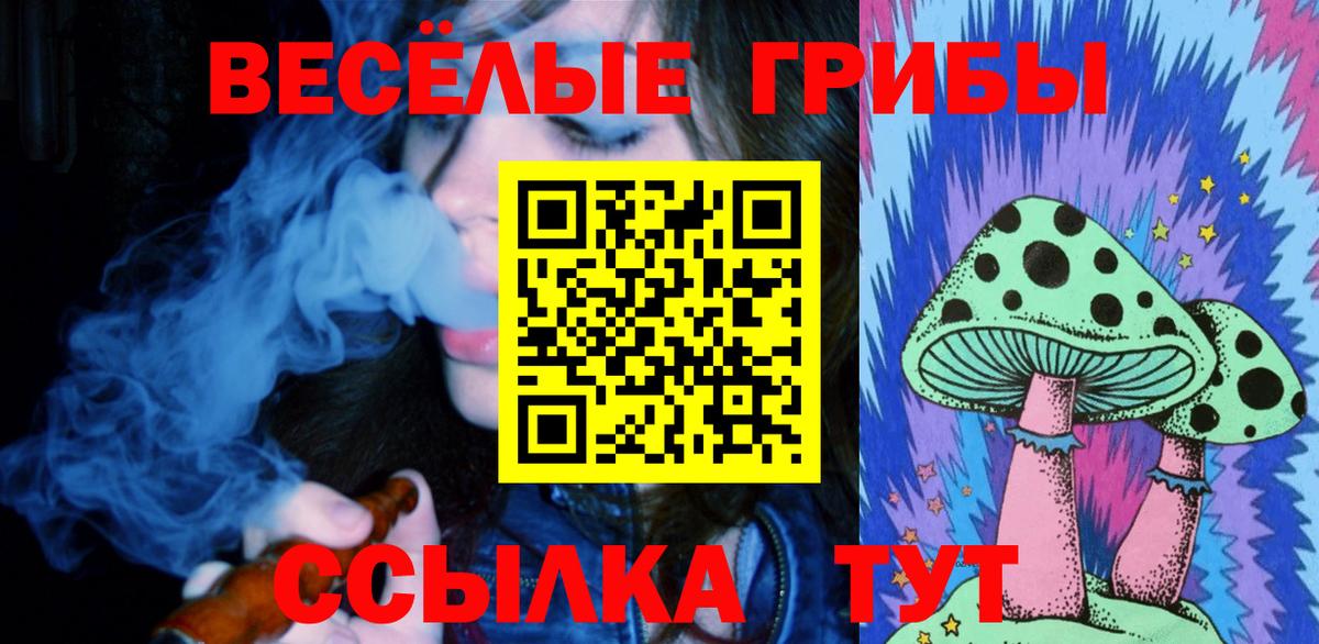 Псилоцибиновые грибы прущие грибы  сколько стоит  Слободской  Вход с VPN 